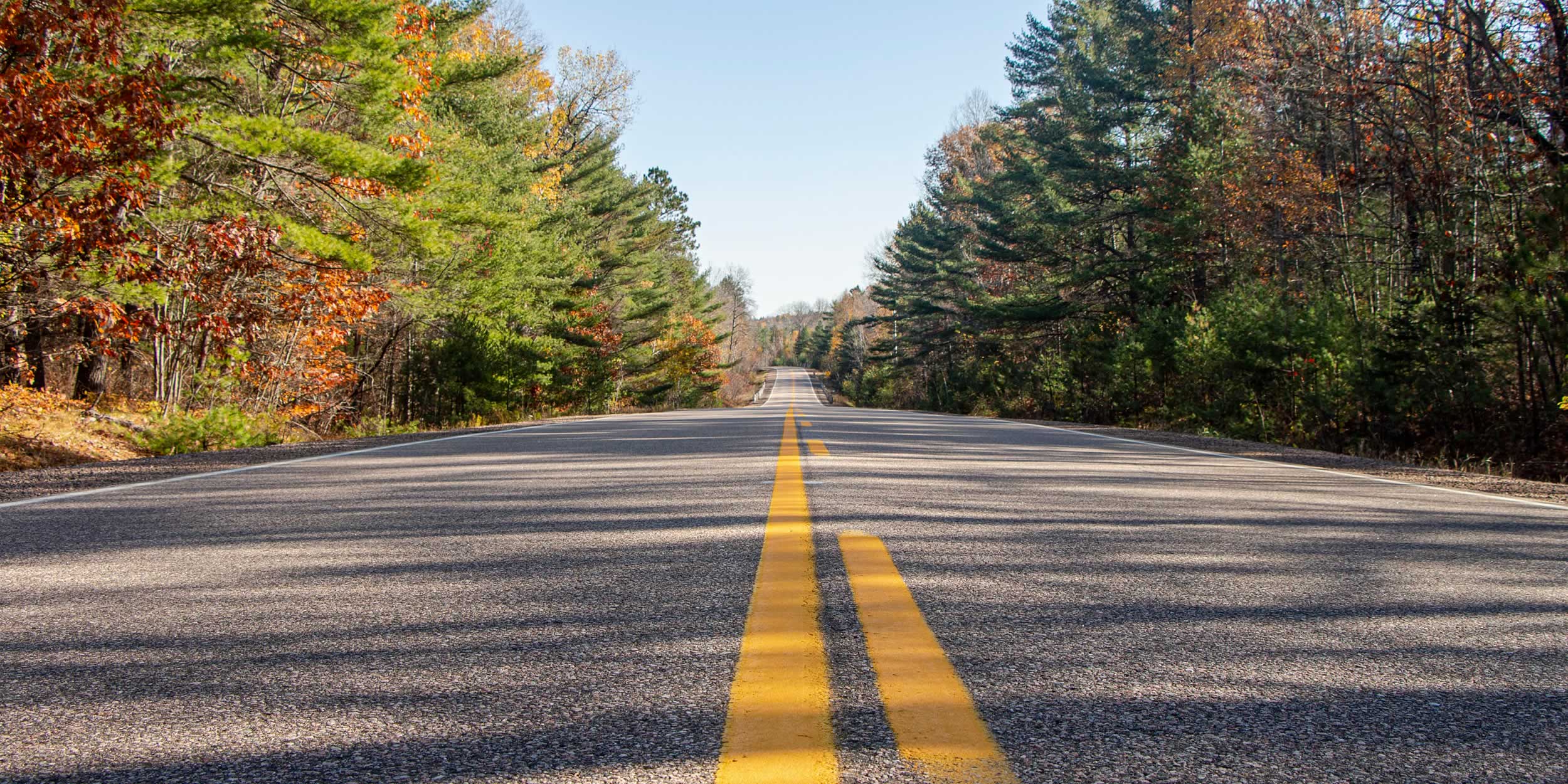 A quiet, empty road surrounded by trees with autumn foliage, leading into the distance under a clear blue sky.